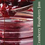 A close-up of a spoonful of cranberry raspberry jam being lifted from a jar. The right side features a vertical banner with the text 'Cranberry Raspberry Jam' and a small circle at the top labeled 'Tips & Tricks.' A jar icon is placed at the bottom center of the design.