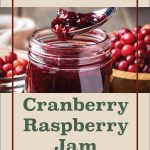 A spoonful of cranberry raspberry jam is lifted from a jar, with fresh cranberries visible in the background. The text above reads 'How to Steam Can,' and the bottom section features the text 'Cranberry Raspberry Jam' with a small jar icon beneath.