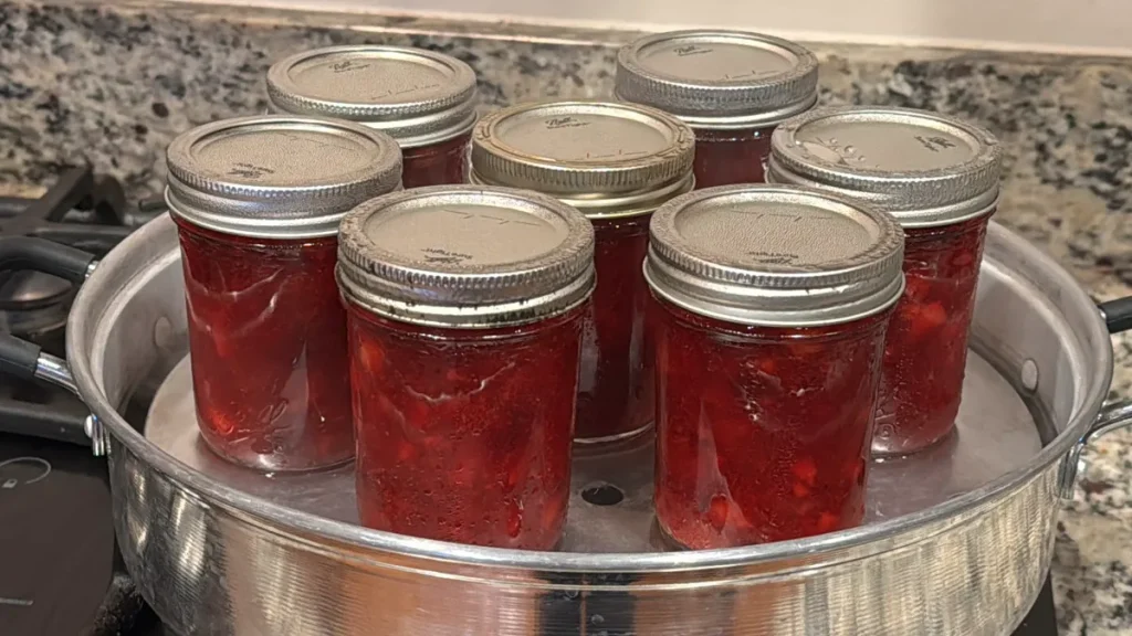 Eight glass jars filled with homemade cranberry rum sauce are arranged in a shallow metal steam canner. The jars have silver lids tightly sealed, and the red sauce inside appears rich and thick, showing bits of fruit. The scene captures the canning process on a kitchen countertop, highlighting homemade preservation.