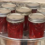 Eight glass jars filled with homemade cranberry rum sauce are arranged in a shallow metal steam canner. The jars have silver lids tightly sealed, and the red sauce inside appears rich and thick, showing bits of fruit. The scene captures the canning process on a kitchen countertop, highlighting homemade preservation.