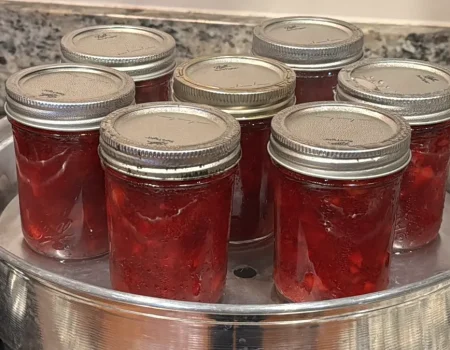 Eight glass jars filled with homemade cranberry rum sauce are arranged in a shallow metal steam canner. The jars have silver lids tightly sealed, and the red sauce inside appears rich and thick, showing bits of fruit. The scene captures the canning process on a kitchen countertop, highlighting homemade preservation.