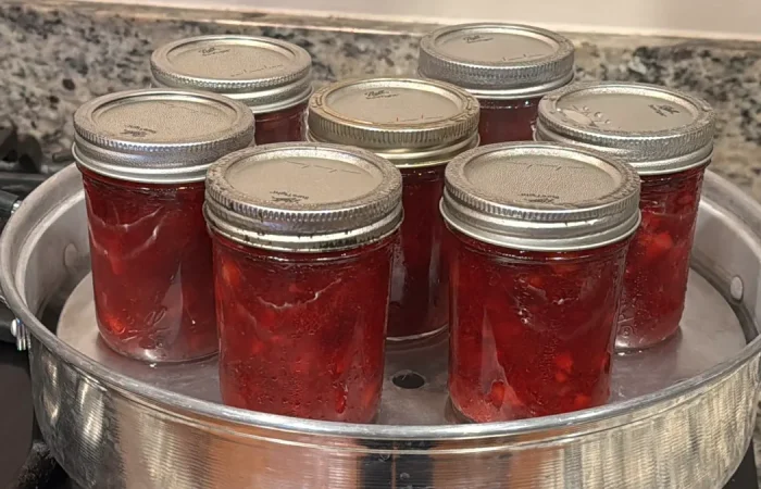 Eight glass jars filled with homemade cranberry rum sauce are arranged in a shallow metal steam canner. The jars have silver lids tightly sealed, and the red sauce inside appears rich and thick, showing bits of fruit. The scene captures the canning process on a kitchen countertop, highlighting homemade preservation.