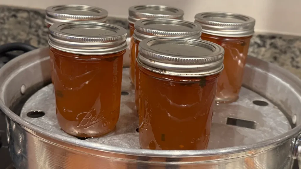 Six mason jars of Apple Jalapeno Jelly in a Steam Canner.