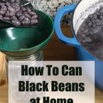 The image shows a close-up of a home canning process for black beans. Cooked black beans are being poured from a ladle into a glass jar through a green funnel. The overlay text reads, "How To Can Black Beans at Home" with the website name "PreservingGuide.com" displayed below.