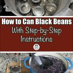 The image shows two parts of the black bean canning process. The top half captures several glass jars, some sealed and some open, placed inside a pressure canner, with one jar being lifted by a jar lifter. The bottom half shows a sealed jar beside a pot filled with cooked black beans. The overlay text reads, "How to Can Black Beans With Step-by-Step Instructions," emphasizing a detailed guide on preserving black beans.