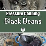 The image illustrates the process of pressure canning black beans. The top portion shows multiple jars, some sealed and some open, inside a pressure canner, with one jar being lifted using a jar lifter. The bottom part displays a sealed jar next to a pot filled with black beans. The overlay text reads, "Pressure Canning Black Beans," reinforcing a guide focused on this preservation method.