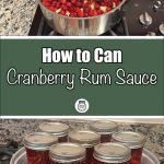 This composite image displays the steps involved in making cranberry rum sauce. The top section features a pot with fresh cranberries and chopped apples on a stovetop, representing the preparation phase. The bottom section shows sealed jars of the sauce arranged on a canning rack, with overlay text reading "How to Can Cranberry Rum Sauce," signifying a guide for canning this festive condiment.