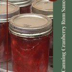 This image features a close-up of jars filled with cranberry rum sauce, sealed and arranged on a canning rack, emphasizing the canning process. The design includes a vertical title, "Canning Cranberry Rum Sauce," alongside a "Tips & Tricks" label in a circle, suggesting helpful insights for this preservation technique.