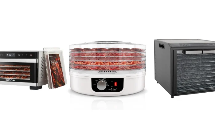 Three types of food dehydrators