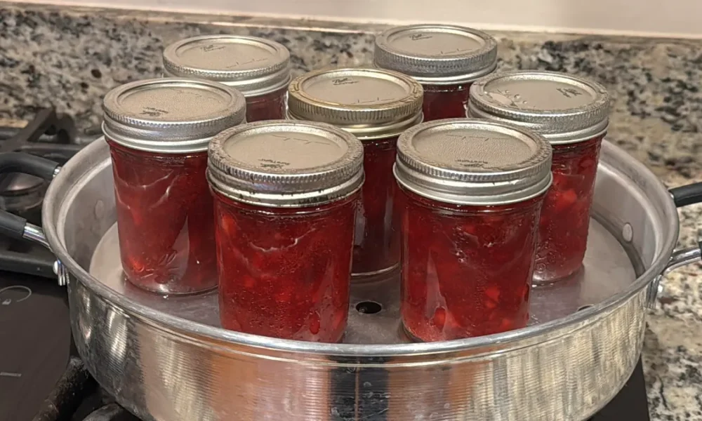 Seven mason jars of strawberry jam sitting in a steam canner.