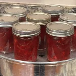 Seven mason jars of strawberry jam sitting in a steam canner.