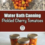 A bowl of fresh cherry tomatoes on a speckled countertop paired with three glass jars of pickled cherry tomatoes, sealed with Ball SureTight lids and infused with herbs. The text overlay reads 'Water Bath Canning Pickled Cherry Tomatoes,' making it ideal for guides on pickling cherry tomatoes, water bath canning techniques, or preserving recipes.