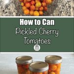 A bowl of fresh cherry tomatoes on a speckled countertop paired with three jars of pickled cherry tomatoes infused with herbs and sealed with Ball SureTight lids. The text overlay reads 'How to Can Pickled Cherry Tomatoes,' making it ideal for tutorials on preserving cherry tomatoes, pickling recipes, or water bath canning guides.