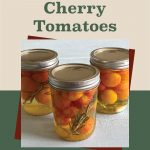 Three glass jars of pickled cherry tomatoes, infused with herbs and sealed with Ball SureTight lids, displayed on a light-colored surface. The text overlay reads 'How To Can Pickled Cherry Tomatoes,' making it ideal for preserving guides, pickling recipes, and canning tutorials.