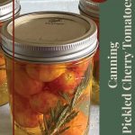 A close-up of a jar of pickled cherry tomatoes, infused with fresh herbs and sealed with a Ball SureTight lid, displayed on a light surface. The text overlay reads 'Tips & Tricks: Canning Pickled Cherry Tomatoes,' making this image ideal for guides on preserving cherry tomatoes, canning tips, and pickling recipes.