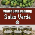 A pile of fresh green tomatoes on a speckled countertop, paired with a set of glass jars filled with homemade salsa verde. The image includes text reading 'Water Bath Canning Salsa Verde' along with a jar icon, perfect for a guide on canning salsa verde or a detailed salsa verde recipe.