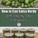 A pile of fresh green tomatoes on a speckled countertop alongside a set of glass jars filled with homemade salsa verde. The text overlay reads 'How to Can Salsa Verde With Step-by-Step Instructions,' making it perfect for guides on water bath canning, salsa verde recipes, or preserving homemade salsa verde.