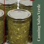 A close-up of glass jars filled with homemade salsa verde, sealed with Ball SureTight lids, displayed on a speckled countertop. The text overlay reads 'Tips & Tricks' and 'Canning Salsa Verde,' making this image ideal for guides on preserving salsa verde, water bath canning, or learning new canning tips.