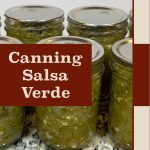 Close-up of glass jars filled with homemade salsa verde, sealed with Ball SureTight lids and displayed on a speckled countertop. The text overlay reads 'Canning Salsa Verde' with 'PreservingGuide.com' at the bottom, providing a resource for learning how to preserve salsa verde using water bath canning.