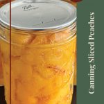 This image showcases a close-up of mason jars filled with sliced peaches preserved in light syrup, with a clean, minimal design. The right side features a green vertical stripe with the text "Canning Sliced Peaches," while a circular label in the top corner reads "Tips & Tricks." A jar graphic is placed at the bottom, adding to the thematic focus on preservation. Perfect for sharing canning advice or tutorials.