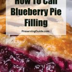 This image features a close-up of a slice of blueberry pie, showcasing the glossy blueberry filling and golden crust. Overlaid text reads, "How To Can Blueberry Pie Filling," with "PreservingGuide.com" below.