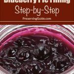 This image features a close-up of a jar filled with vibrant blueberry pie filling, showcasing whole blueberries and a glossy texture. The text above reads, "How To Can Blueberry Pie Filling Step-by-Step," with "PreservingGuide.com" below.