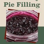 This image features a jar of blueberry pie filling with whole, glossy blueberries as the focal point. The text at the top reads, "How To Can Blueberry Pie Filling," in a bold style. At the bottom, a mason jar illustration is included for a decorative touch.