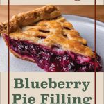 This image highlights a slice of blueberry pie with a golden lattice crust and rich, glossy blueberry filling, placed on a light-colored plate. The text at the top reads "Canning," while the text below the pie says "Blueberry Pie Filling," framed by a decorative border. A mason jar illustration is positioned at the bottom for an added visual element.