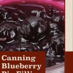 This image showcases a close-up view of glossy blueberry pie filling with rich purple hues and whole blueberries in a jar. The text overlay in a red box reads, "Canning Blueberry Pie Filling," while "PreservingGuide.com" appears at the bottom.