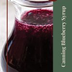 A close-up of a glass pitcher filled with dark, glossy blueberry syrup, highlighted with a rich texture. The design includes a green vertical panel on the right with the text 'Canning Blueberry Syrup' in elegant lettering, and a circular badge at the bottom featuring a decorative jar icon. A smaller red circle near the top reads 'Tips & Tricks,' adding a touch of guidance to the visual.