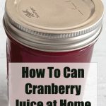 This image shows a mason jar filled with cranberry juice, topped with a metal lid, and overlaid text that reads, "How To Can Cranberry Juice at Home" with the website name "PreservingGuide.com" below.