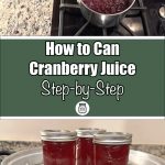 This image is a combination of two visuals: the top section shows a saucepan of cranberry juice simmering on a stovetop, and the bottom section shows three mason jars filled with cranberry juice on a steam canning rack. The central text overlay reads, "How to Can Cranberry Juice Step-by-Step," with a mason jar illustration beneath.