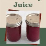 This image shows two mason jars filled with cranberry juice and sealed with metal lids, set against a light background. The text above reads, "How To Can Cranberry Juice," with a mason jar illustration at the bottom.