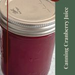 This image features a close-up of a mason jar filled with cranberry juice, sealed with a metal lid. The text on the right side reads, "Canning Cranberry Juice," with a circular label at the top that says "Tips & Tricks." A mason jar icon is placed at the bottom.