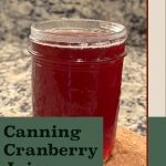 This image shows a single mason jar filled with cranberry juice, resting on a cork surface against a kitchen countertop background. The text overlay at the bottom reads "Canning Cranberry Juice" in a green box, with "PreservingGuide.com" written below.