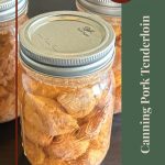 A close-up of mason jars filled with pressure-canned pork tenderloin on a dark wooden surface. The design includes a green vertical banner on the right side with the text 'Canning Pork Tenderloin' and a red circular label at the top that reads 'Tips & Tricks.' A small jar icon is placed at the bottom center.