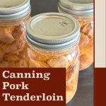 A close-up of three mason jars filled with pressure-canned pork tenderloin on a dark wooden surface. The design features a beige background with a brown accent box containing the text 'Canning Pork Tenderloin.' At the bottom, 'PreservingGuide.com' is displayed in a red banner.