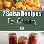 Bright mango salsa with cilantro, red peppers, and onion in a glass dish at the top, paired with three jars of vibrant red homemade canned salsa on a white surface at the bottom. The text in the center reads '7 Salsa Recipes For Canning' on a green background, with a small jar logo beneath the text.