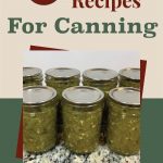 Several jars of homemade green salsa with visible peppers and onions, placed on a granite countertop. The text above reads '7 Salsa Recipes For Canning' in a mix of brown and green fonts, with a small jar logo at the bottom on a beige and green background.