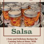 Several jars of colorful salsa with visible corn, peppers, and herbs in a canning pot, framed by text. The title reads 'Canning Salsa,' followed by a subtitle: '7 Easy and Delicious Recipes for Canning Salsa at Home. With Step-by-Step Instructions.' A small jar logo is displayed at the bottom on a beige background.