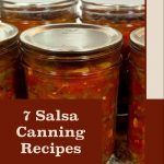 Close-up of jars filled with red salsa featuring chunks of vegetables, arranged on a granite countertop. The text overlay reads '7 Salsa Canning Recipes' on a brown background, with 'PreservingGuide.com' displayed at the bottom on a beige background.