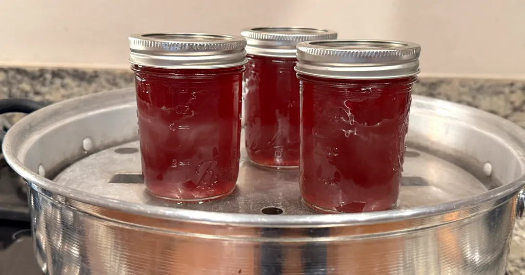 Three mason jars of cranberry juice sitting in a steam canner base.