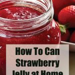 Close-up of a glass jar filled with vibrant red strawberry jelly, with fresh strawberries in the background. A semi-transparent overlay displays bold black text that reads, 'How To Can Strawberry Jelly at Home,' with the website 'PreservingGuide.com' listed below.