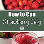 A top view of a bowl filled with fresh, ripe strawberries. A green banner in the middle displays bold white text reading, 'How to Can Strawberry Jelly,' with a small mason jar icon below. The bottom half features an open jar of homemade strawberry jelly with a spoon scooping out a thick portion, alongside a white bowl of fresh strawberries in the background.