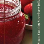 Close-up of an open glass jar filled with homemade strawberry jelly, with fresh strawberries in the background. A vertical green banner on the right side displays white text reading, 'Steam Canning Strawberry Jelly,' with a brown circular label at the top that says, 'Tips & Tricks.' A small mason jar icon is centered at the bottom of the image.