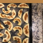 Image promoting food preservation with the title "Ultimate Guide to Dehydrating Foods" from preservingguide.com. Below the text, sliced apple pieces sprinkled with cinnamon are arranged on a dehydrator tray, ready for drying, set against a speckled countertop.