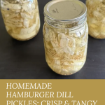 Three mason jars filled with crisp homemade hamburger dill pickles, packed with dill seeds and brine, sitting on a dark wooden surface at preservingguide.com.